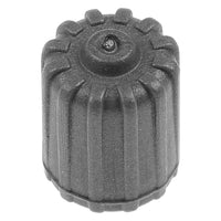 TPMS DILL OE VALVE CAP GREY WITH SEAL