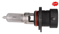 Clear Xenon Headlight Bulb - T-4 12V 65W (1 pc per box): 1 per Box