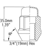 Lug Nut - Acorn(13/16) 1 Pc - M12 1.25